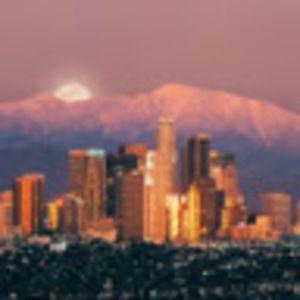 Meet your Posher, Levi